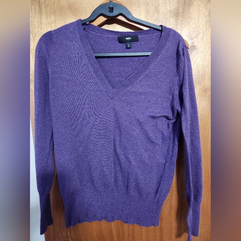 Purple V-Neck Sweater Large
